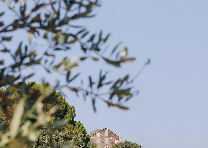 Szálloda Domaine Santa Margherita Castellare-di-Casinca