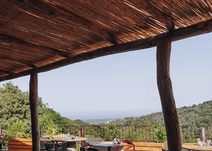 Domaine Santa Margherita Castellare-di-Casinca